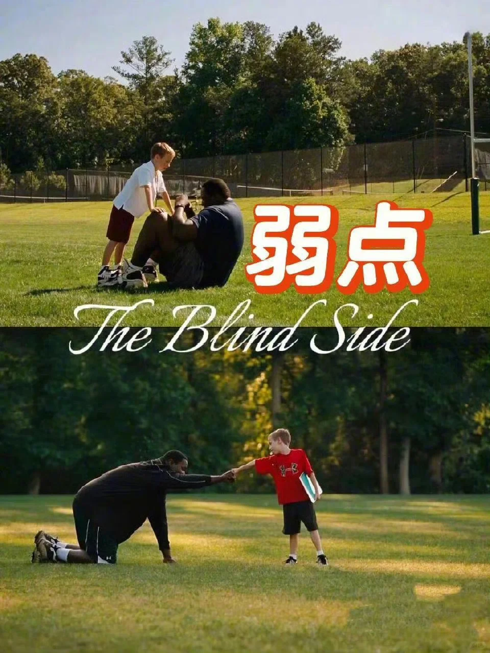 低谷期必看的10部电影🎬