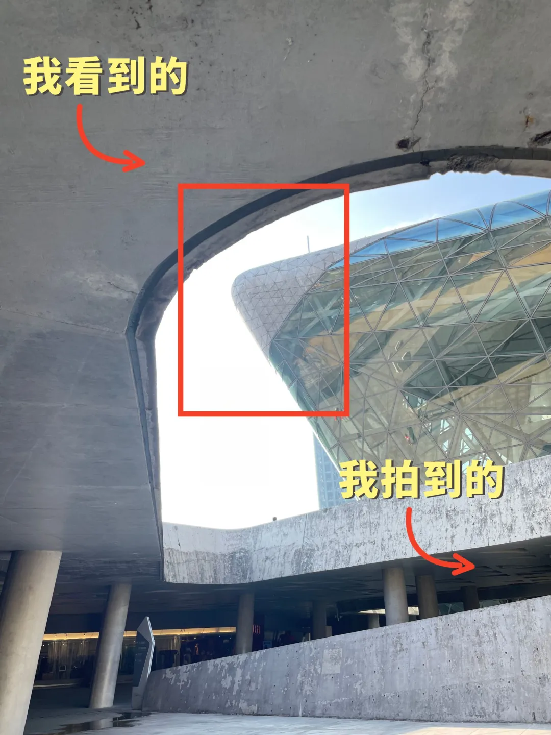 我看到的VS我拍到的｜如何拍出生活美的技巧