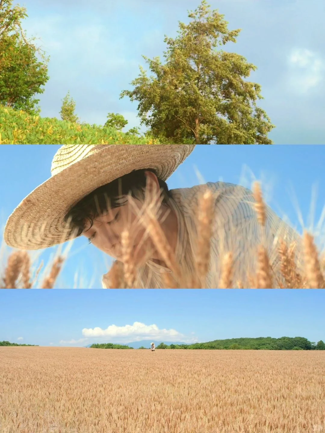 😭反复看了好几遍的电影‼️巨解压治愈❗