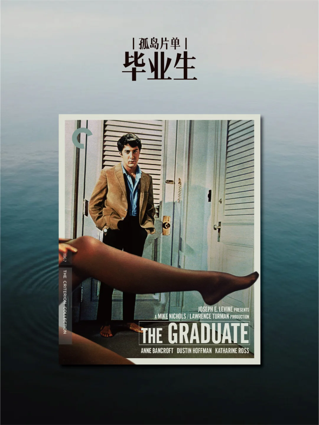 我反复观看的十部影片｜孤岛片单