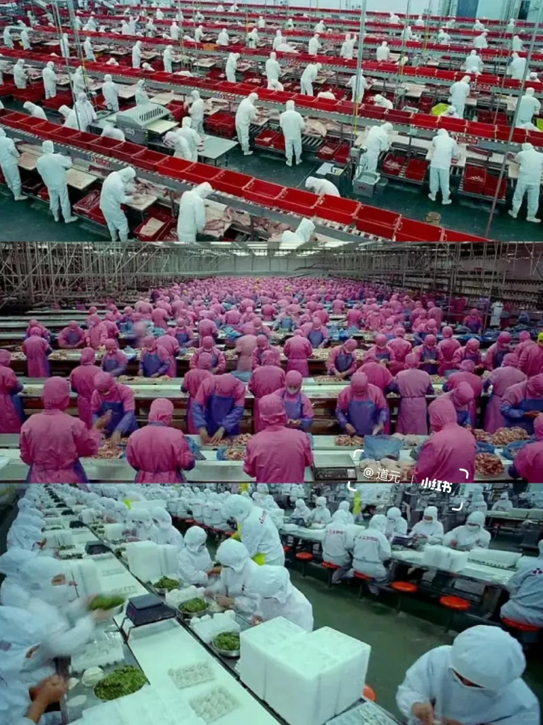 高分9.1❗️第一次想用伟大来形容一部影片