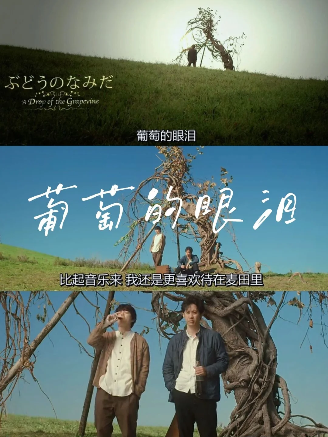 😭反复看了好几遍的电影‼️巨解压治愈❗