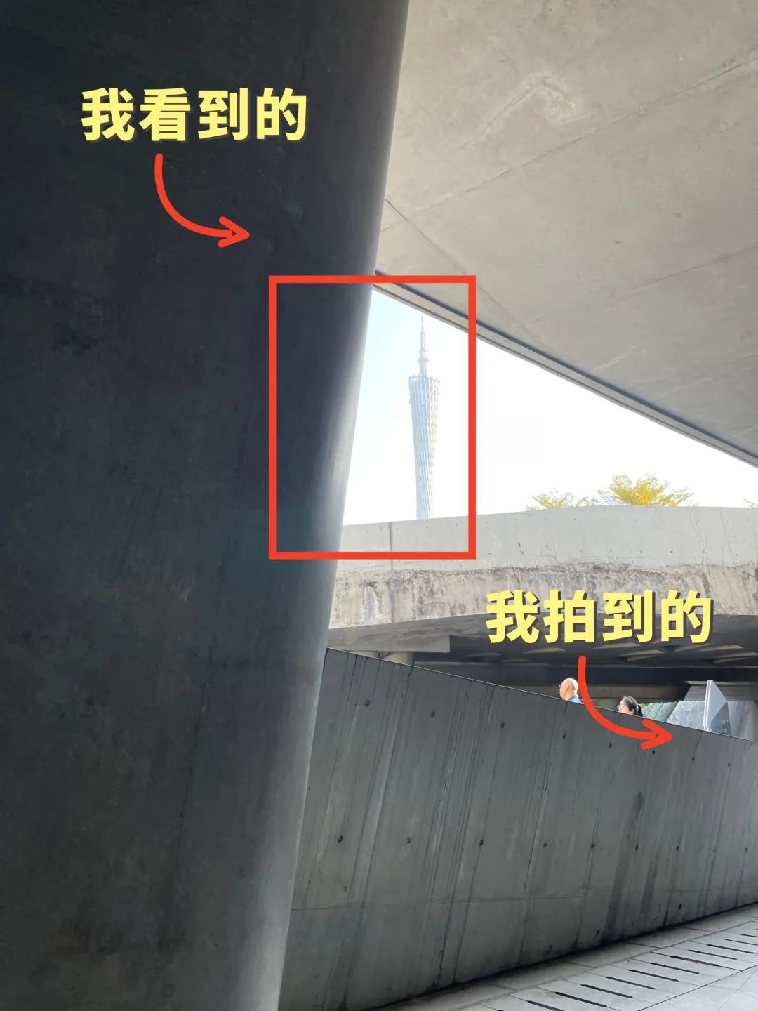 我看到的VS我拍到的｜如何拍出生活美的技巧