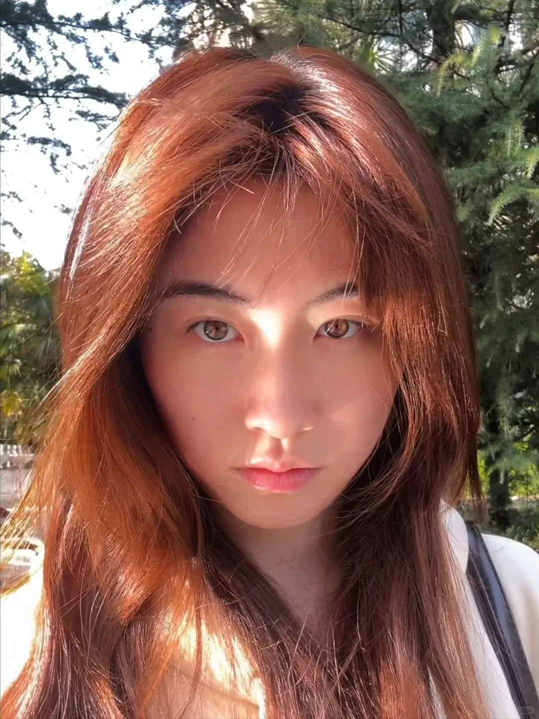 长成这样可以碰瓷张柏芝了吧😅