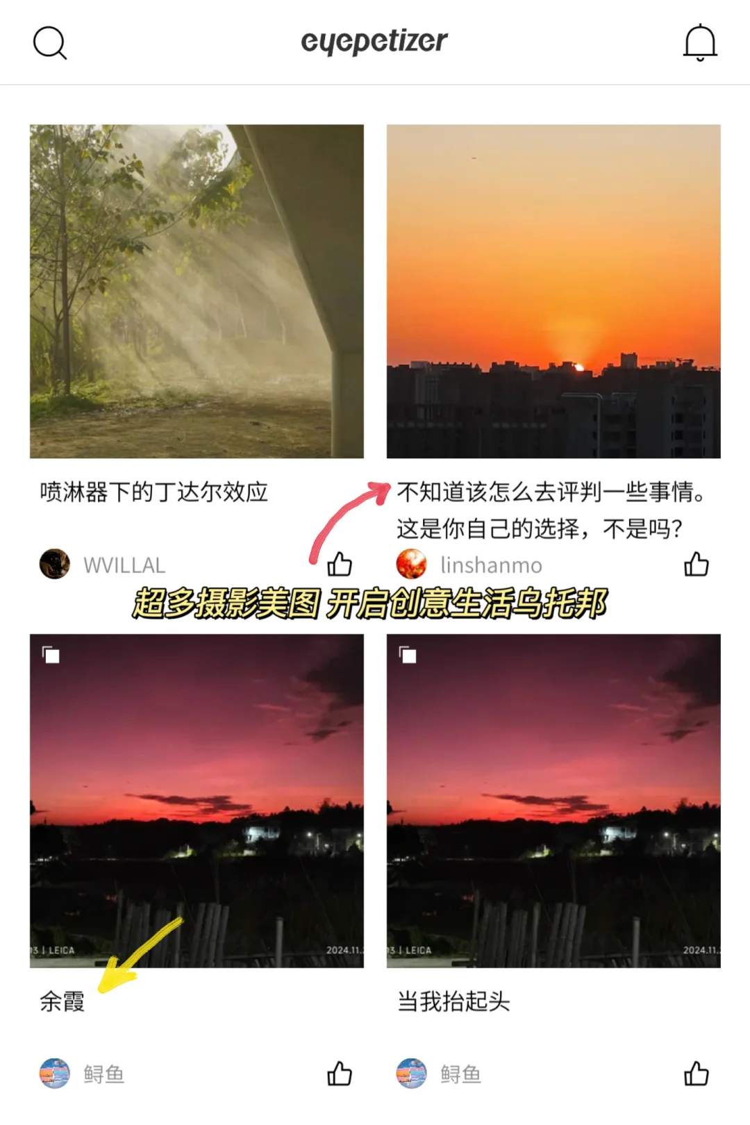 小众创意类app推荐！一键get全球视野