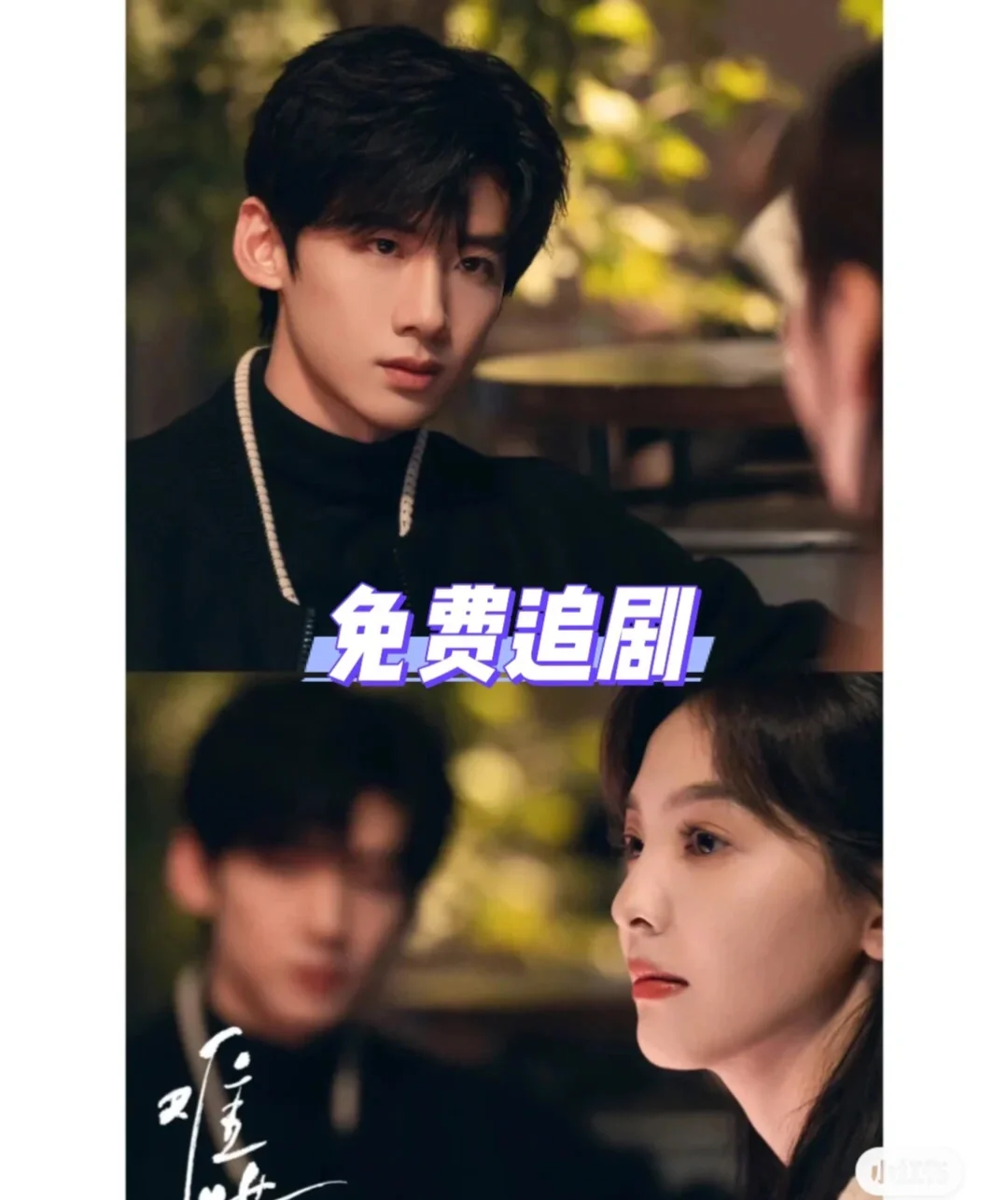 分享最近超好看的电视剧😚免费看剧