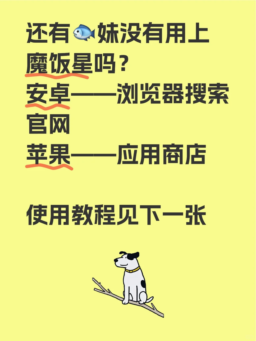 还有🐟妹没有用上魔饭星吗？