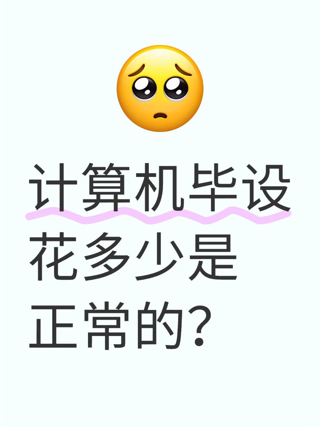 计算机毕设怎么办啊