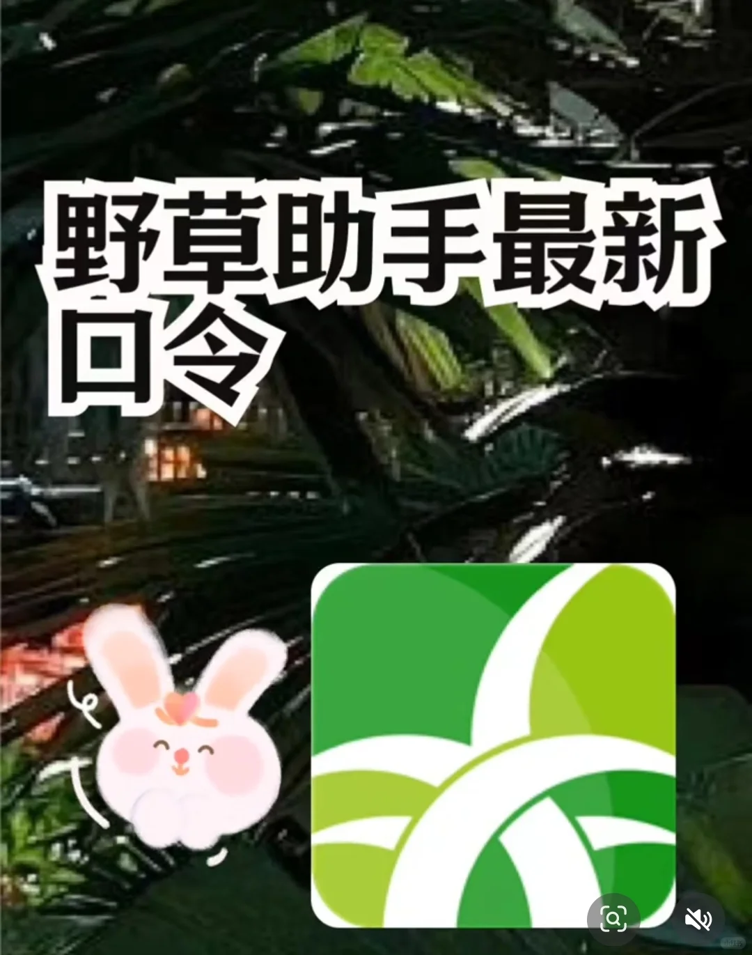 元～27～野草助手口令组合码