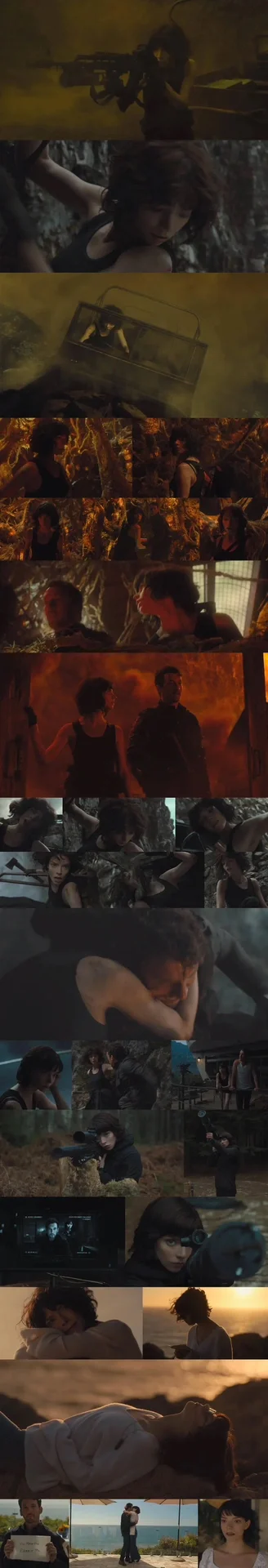 近几年最好看的外文电影了吧！