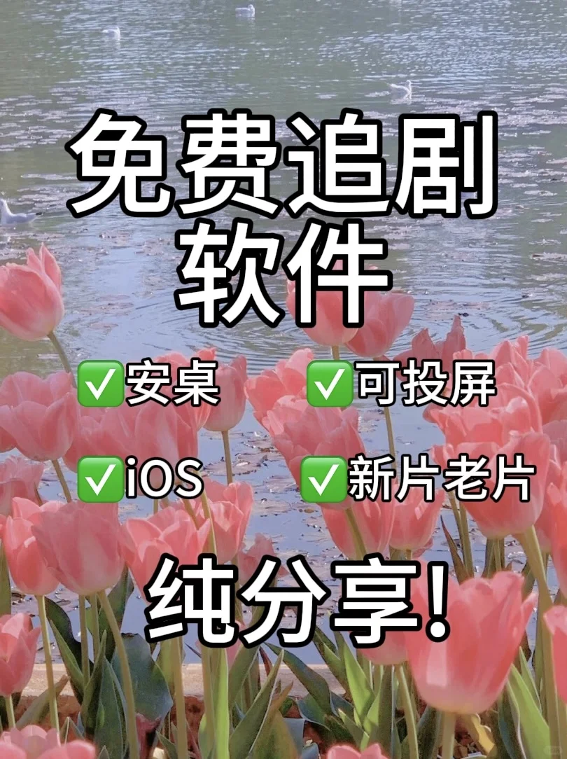 感觉这个啥都能看🎬