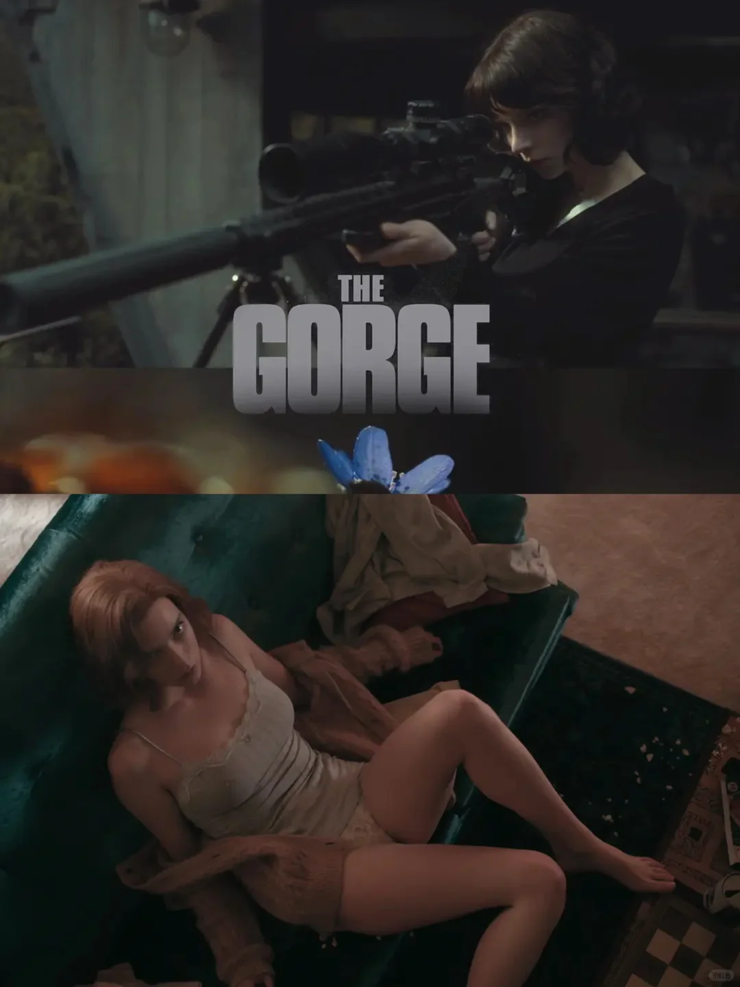 近几年最好看的外文电影了吧！