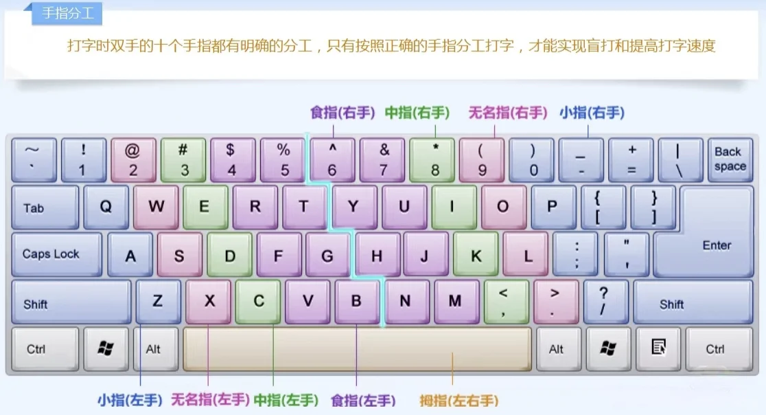 自学电脑软件打卡