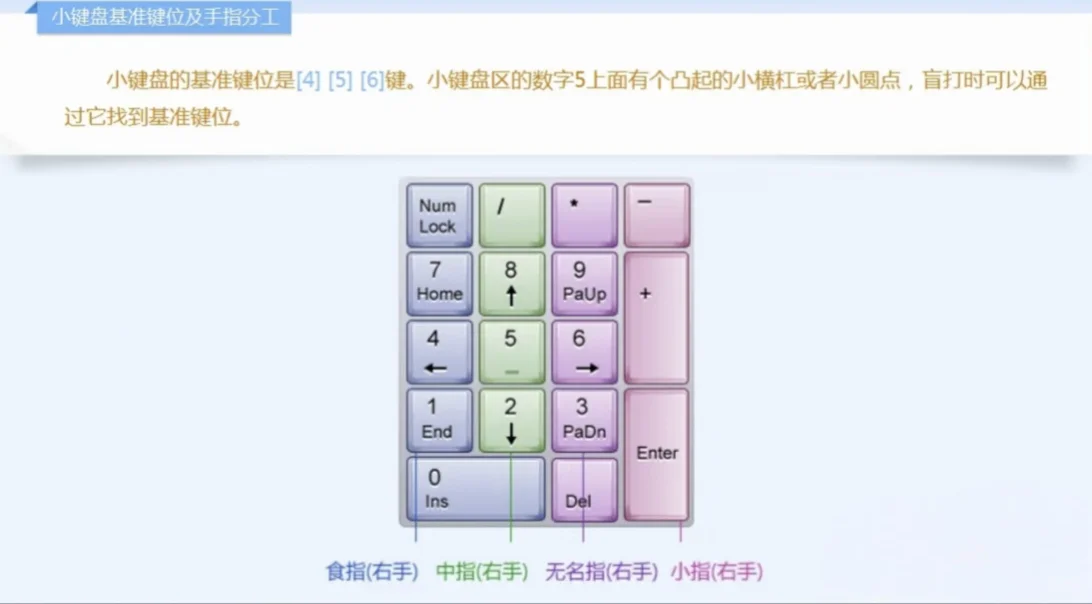 自学电脑软件打卡