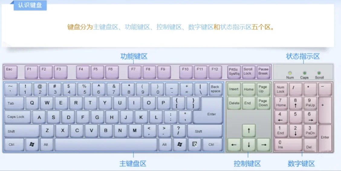 自学电脑软件打卡