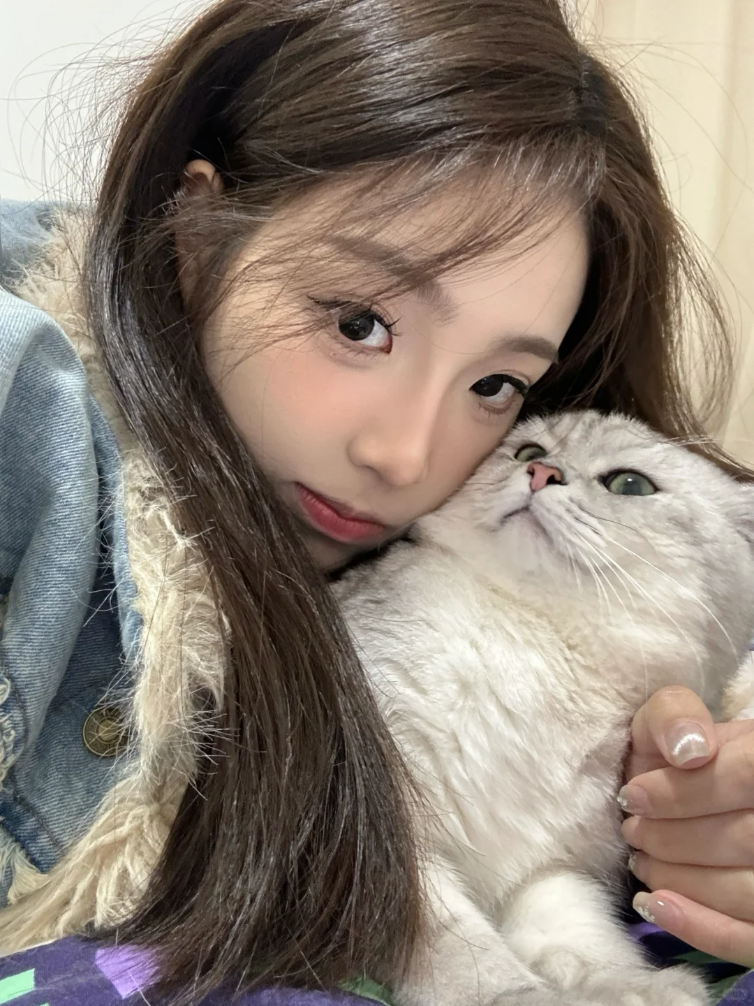 🐈‧₊˚⋆☆₊⁺🦴🐾