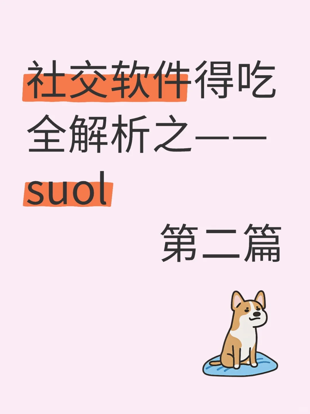 社交软件得吃全解析之——suol 第二篇