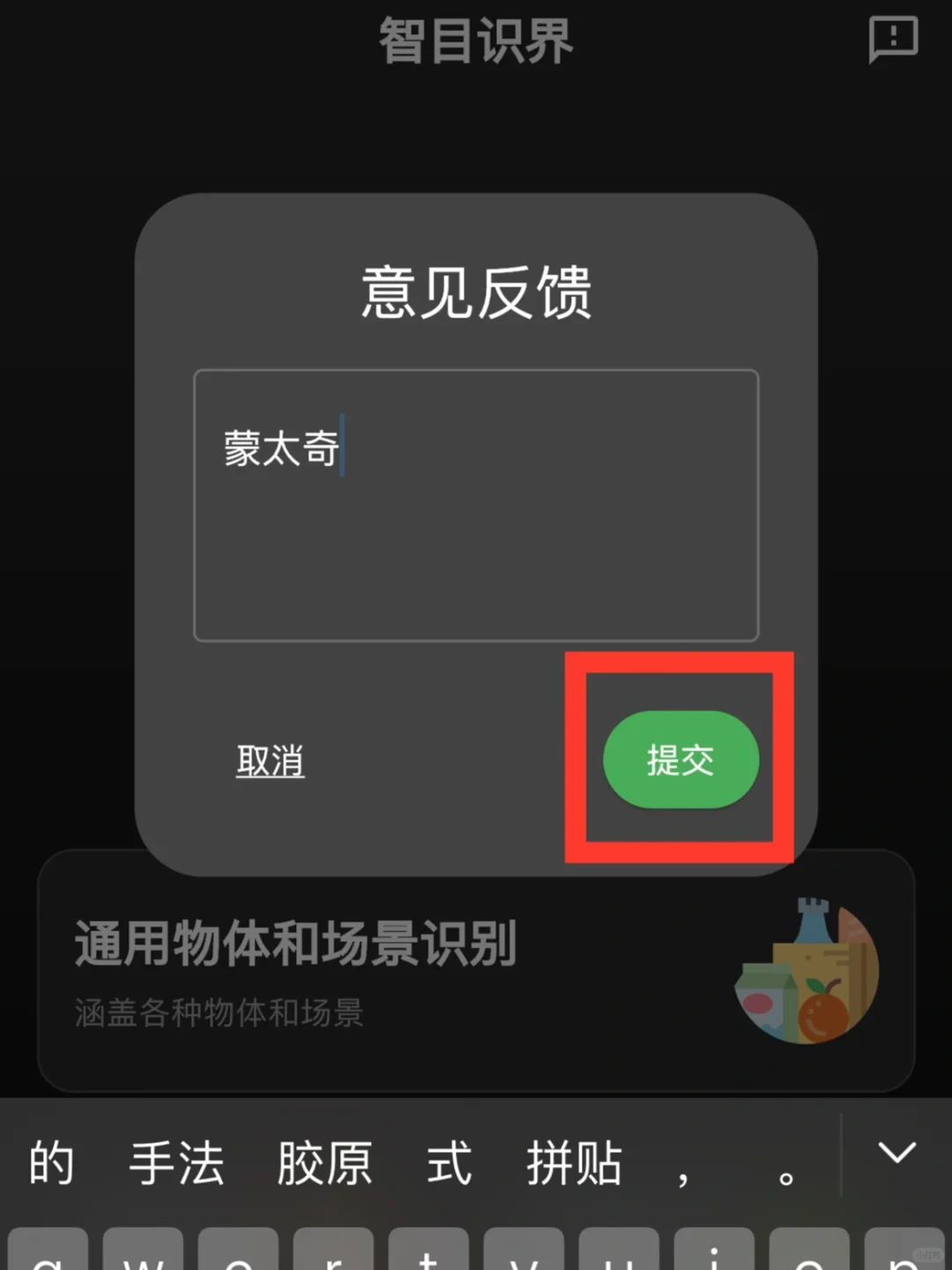 蒙太奇🔍“开发者”iPad🉑️