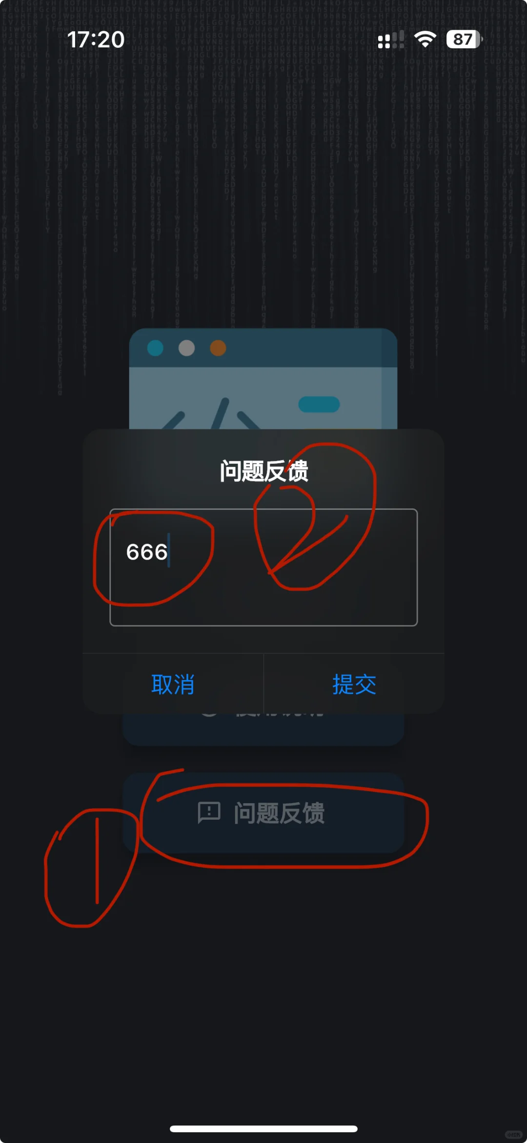 20250225大师兄ios app速速下