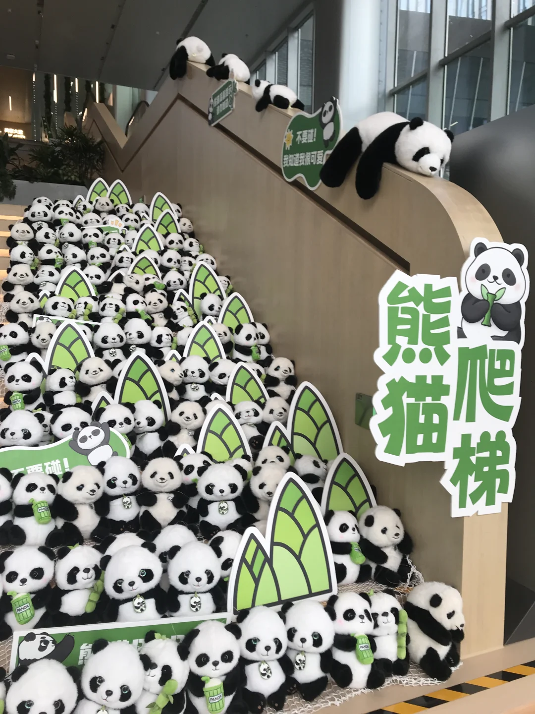 大家有没打车软件推荐，除了高德、滴滴