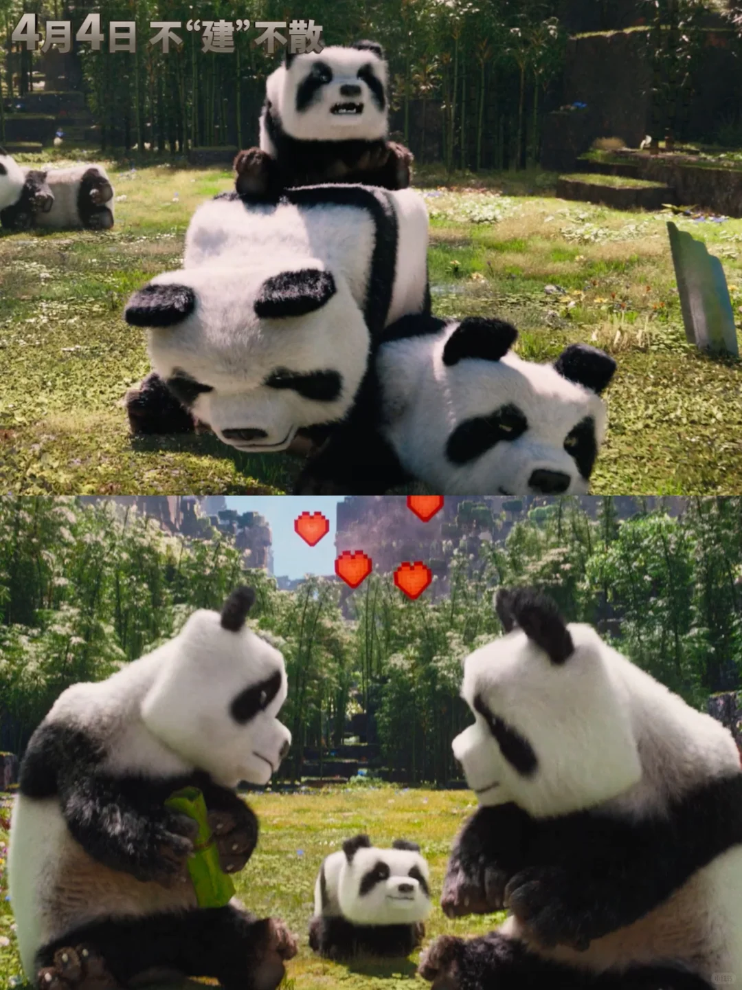 什么❗破产姐妹苏菲来演我的世界大电影了❗