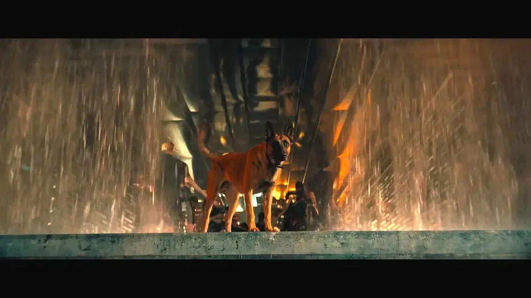 著名爱狗人士的电影《疾速追杀4》要上映啦～