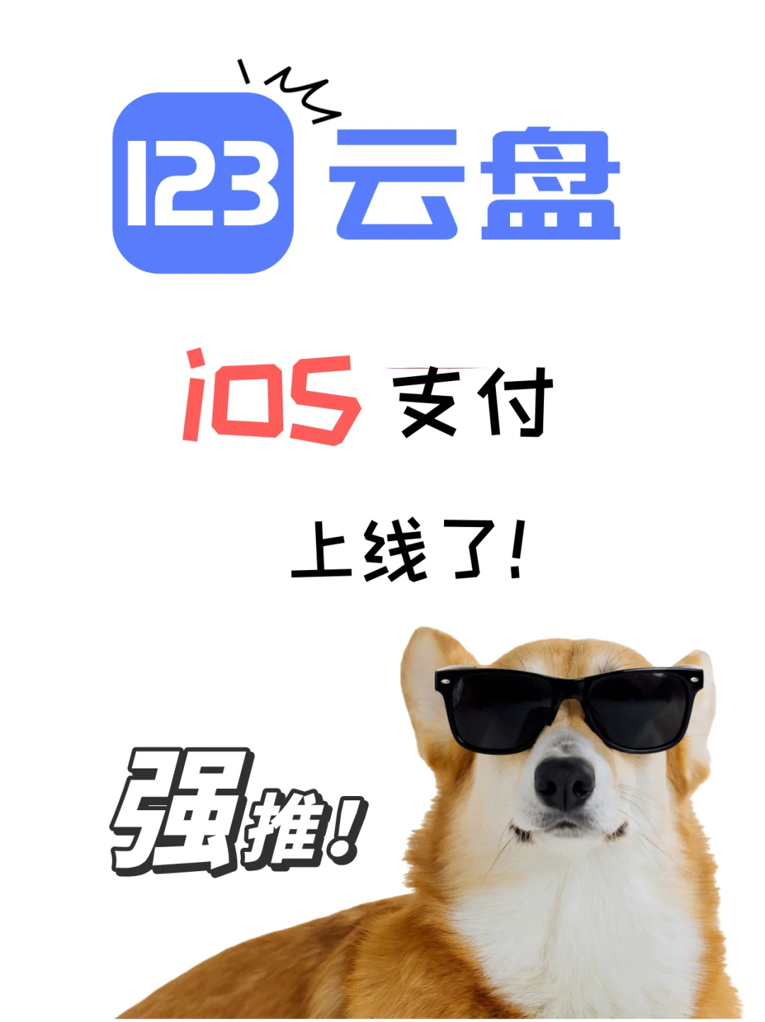 123云盘iOS支付终于来啦🎉