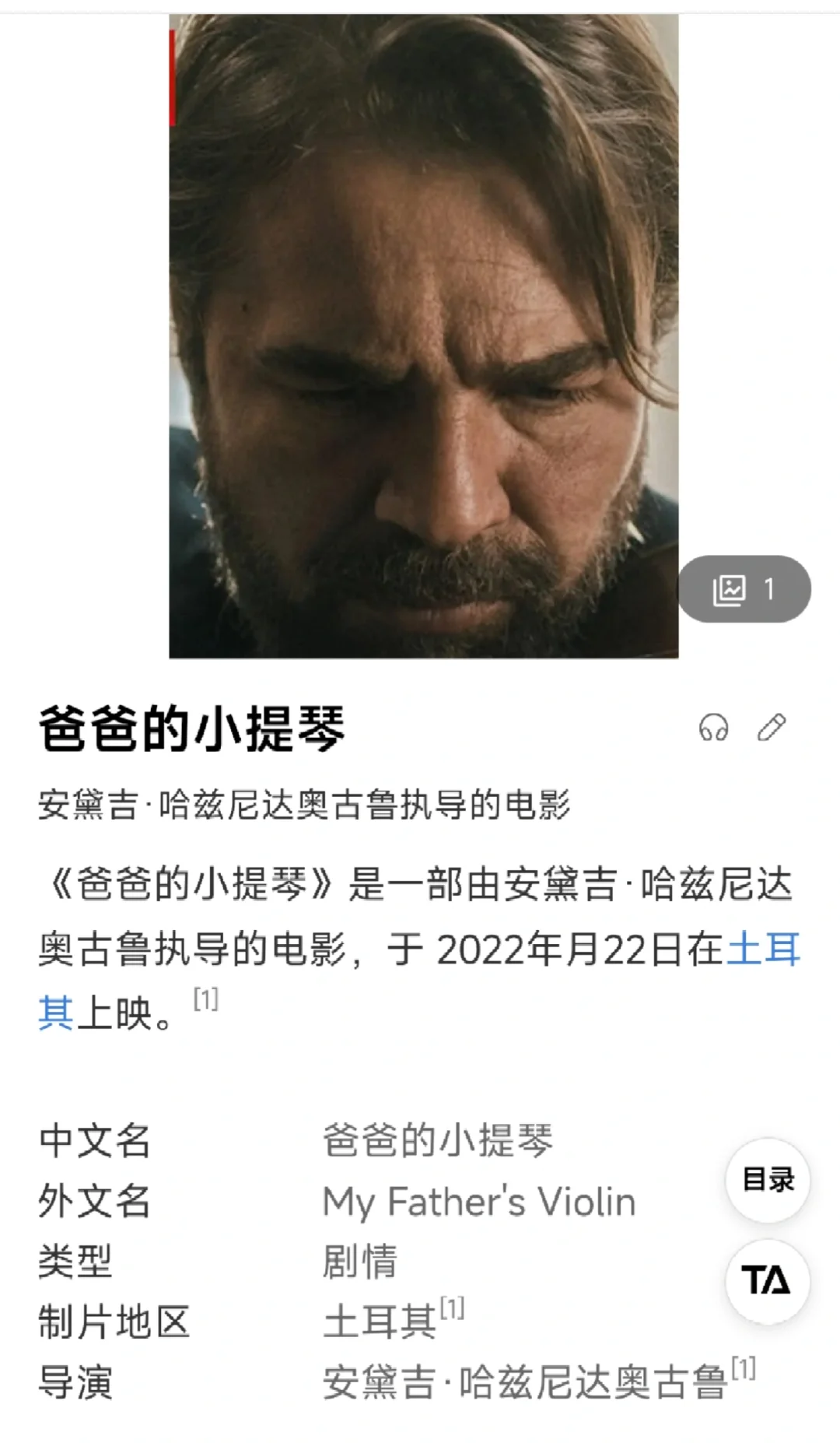 电影推荐—爸爸的小提琴