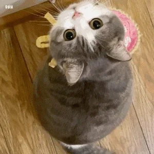 中国科学院软件所复试求助