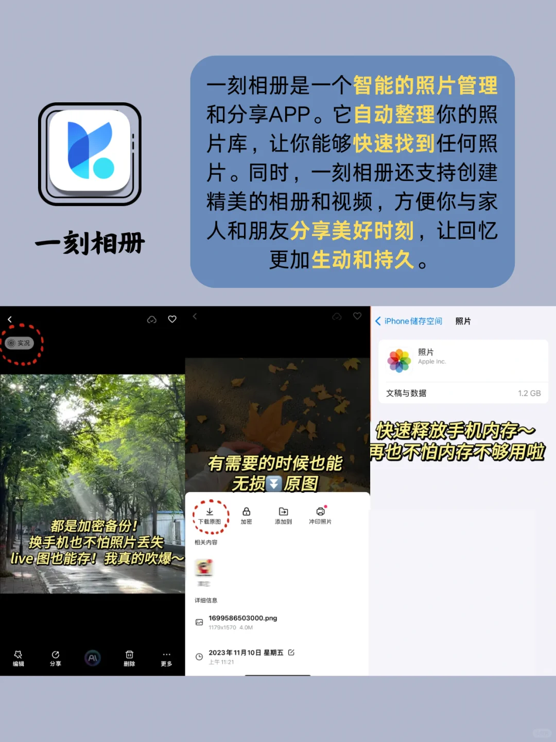 超实用!打造效率型手机的8大APP推荐📱💡