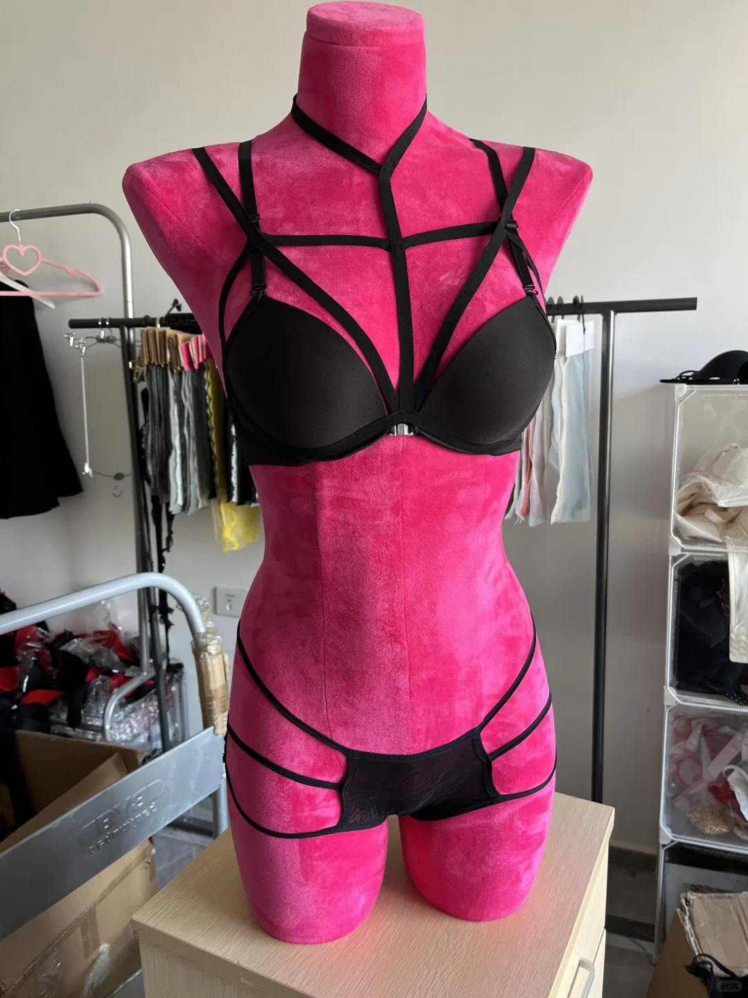 还是邪恶蝴蝶帅啊