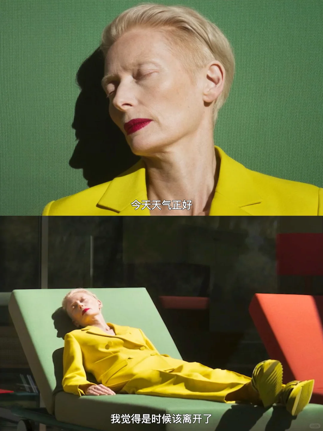 从未想过这是死亡的颜色…看完太震撼了！！！