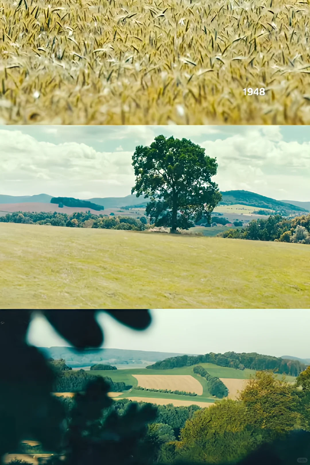 这么好看的电影我怎么才发现啊啊啊😭✨