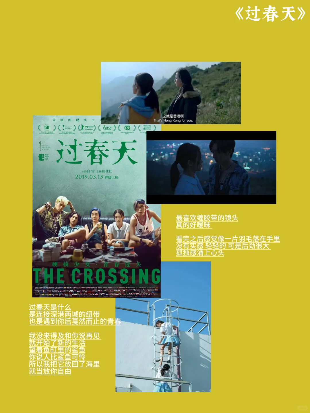 2月观影记录📝