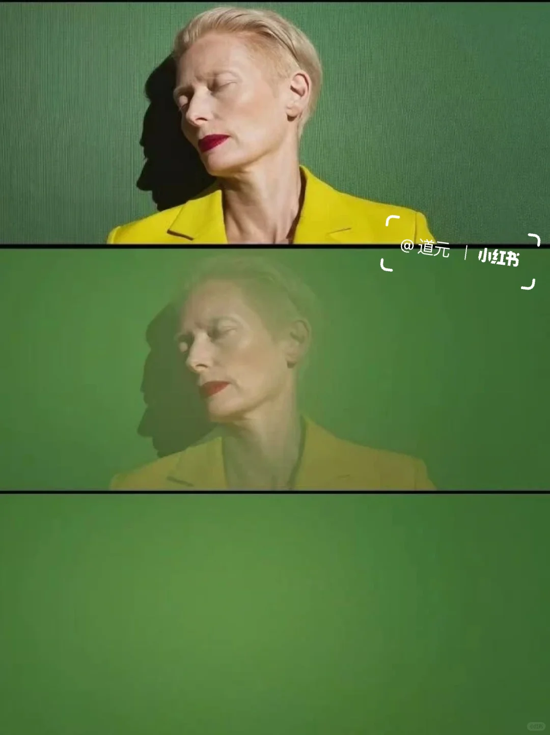 全场起立鼓掌17分钟，这部年度神片鲨疯了！