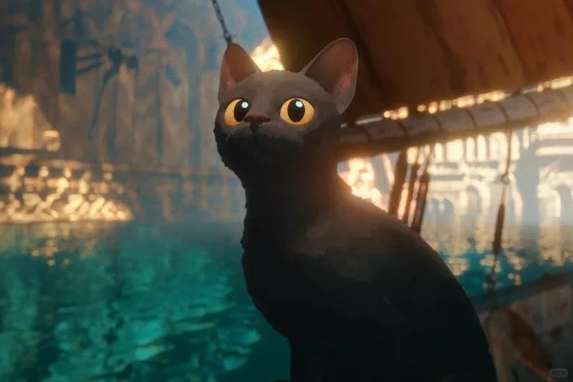 电影《flow》的一些观后记录