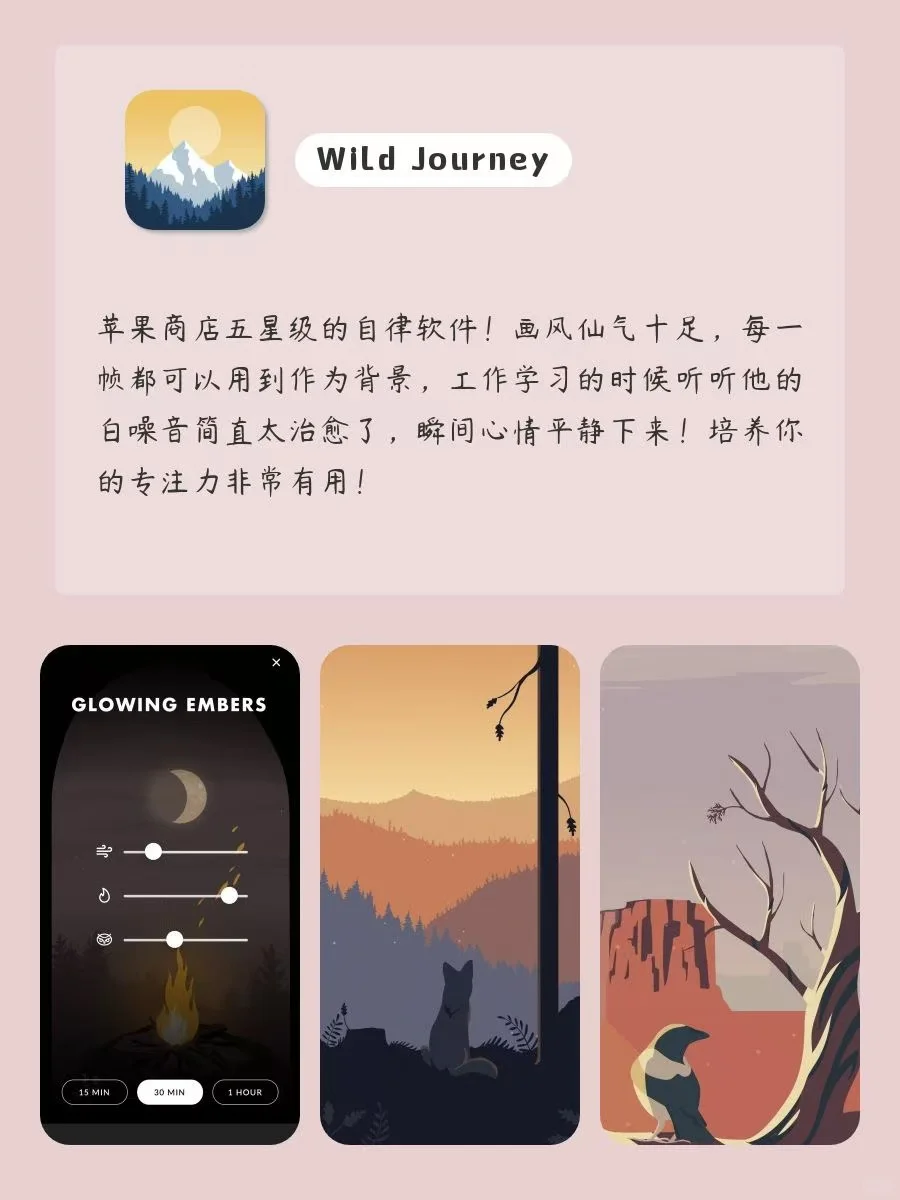 电量剩✨1%也要拥有的APP‼️