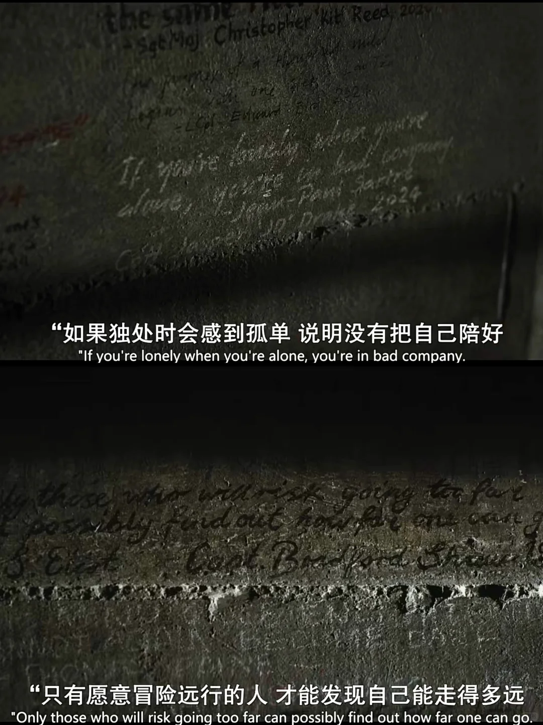 电影 峡谷🎬安雅泰勒乔伊