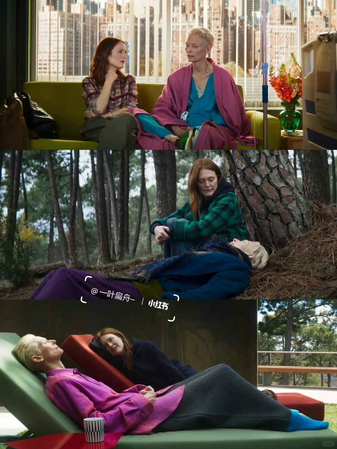 从未想过这是死亡的颜色…看完太震撼了！！！