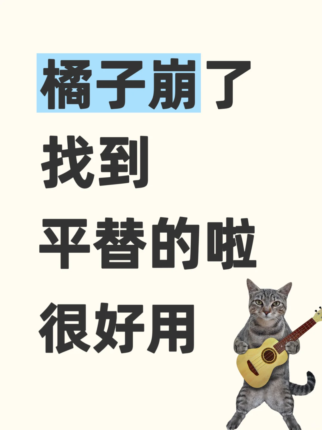 免费追剧app✨追剧女孩👧赶紧码住！