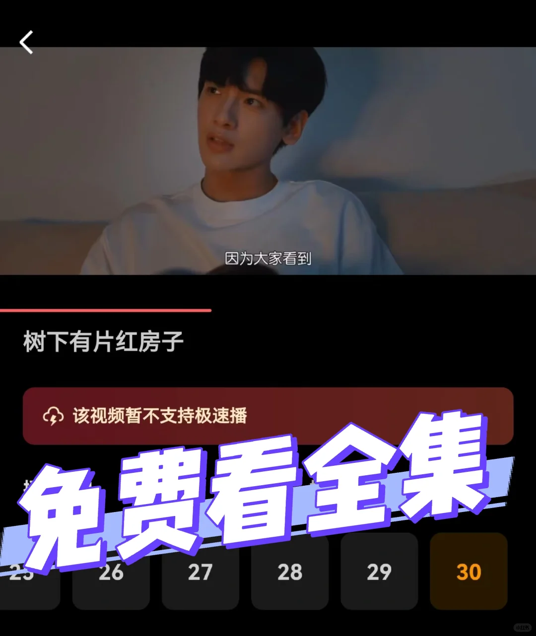 免费看《树下有片红房子》全集啦，快来！