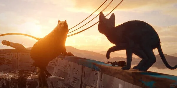 电影《flow》的一些观后记录