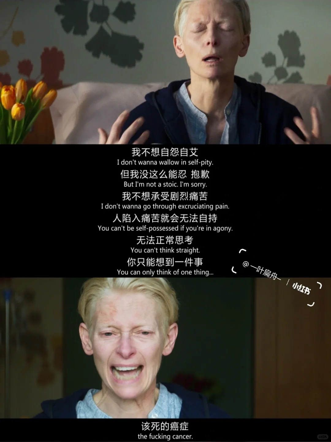 从未想过这是死亡的颜色…看完太震撼了！！！