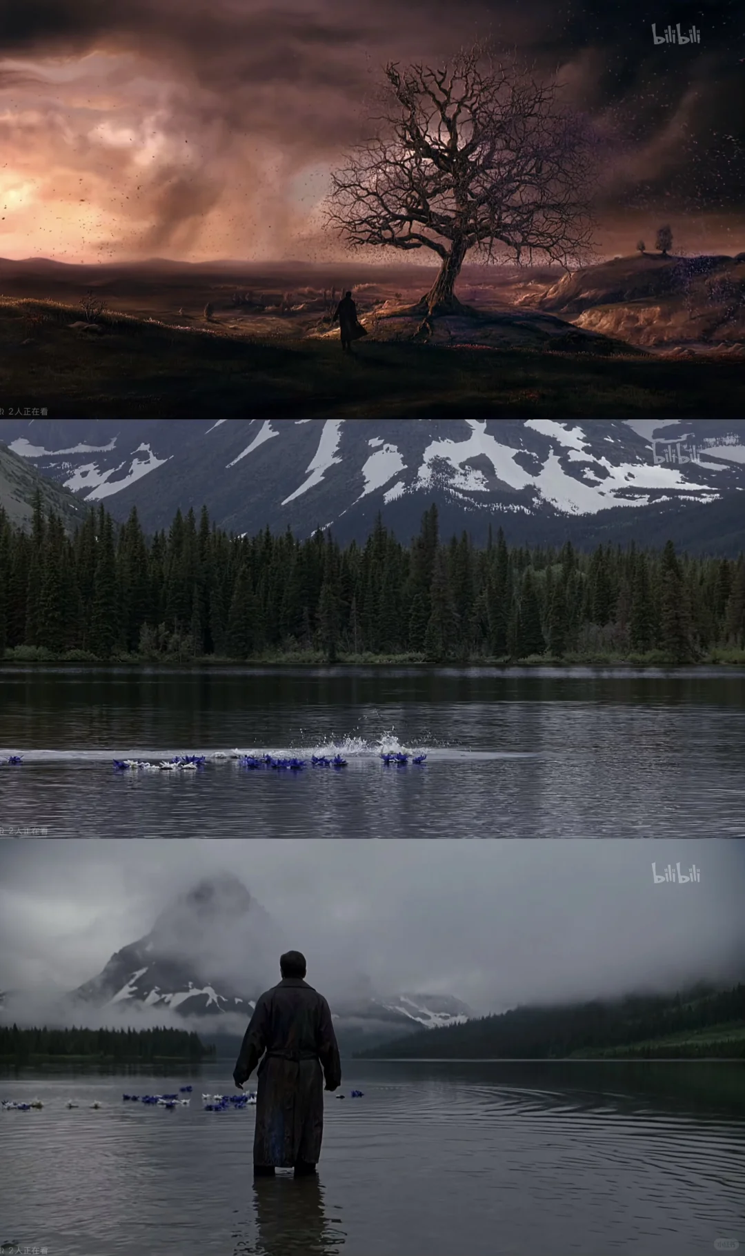 美梦成真｜神也看过并推荐的电影