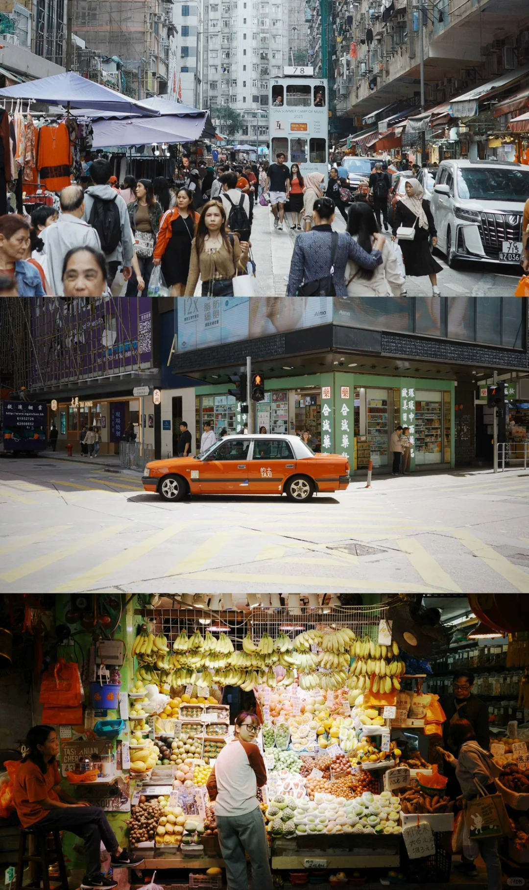 真希望在电影里过日子