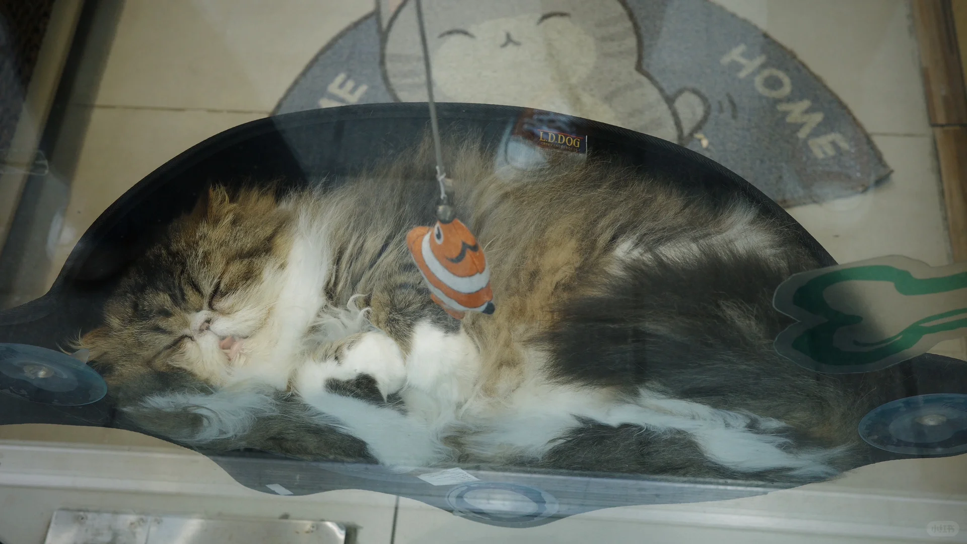 真希望在电影里过日子