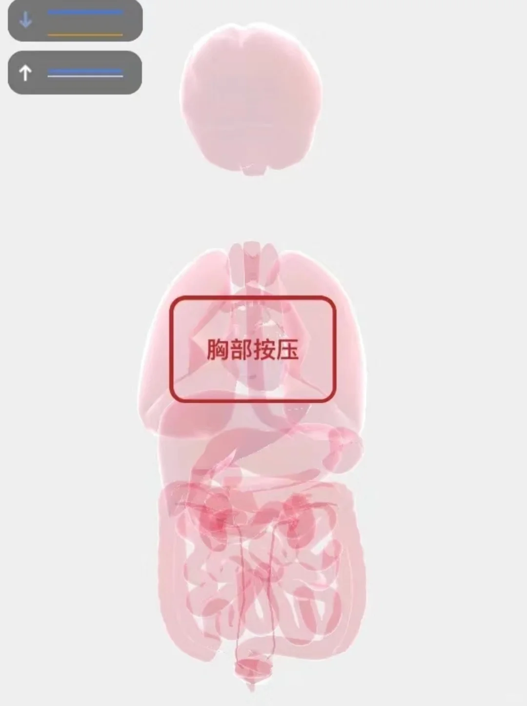 🏥🏥医学生们不要打王者和吃鸡了!!!