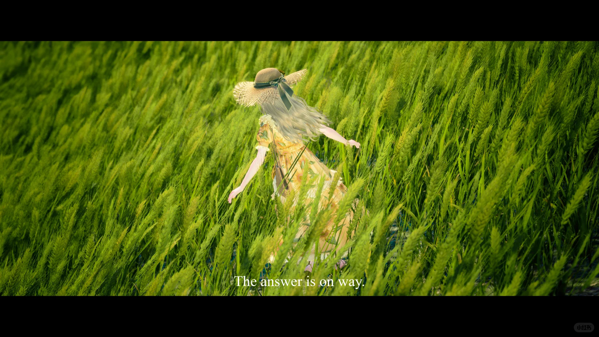 把暖暖拍出电影感 | 附参数