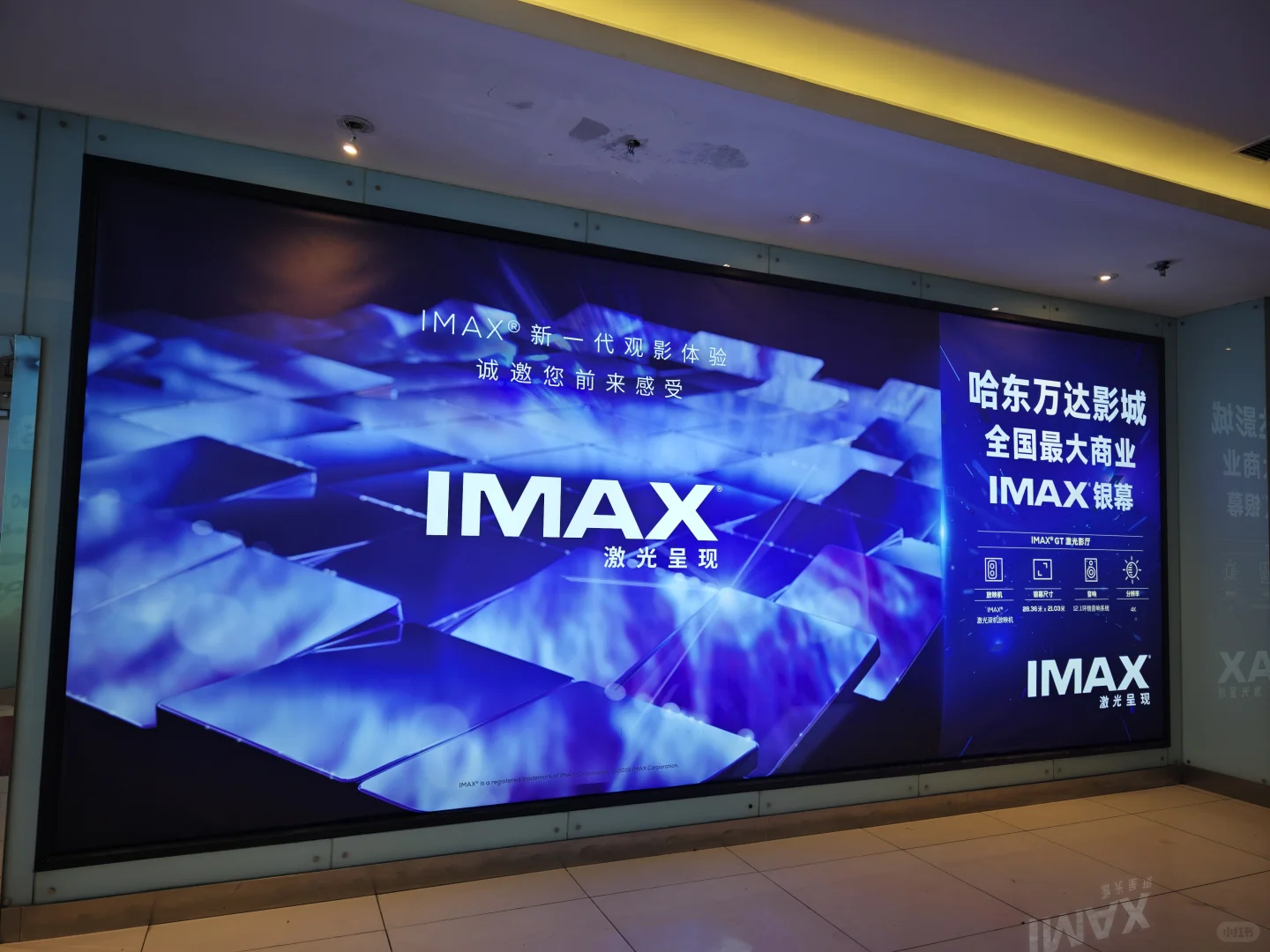 什么样的电影值得我六点起来看