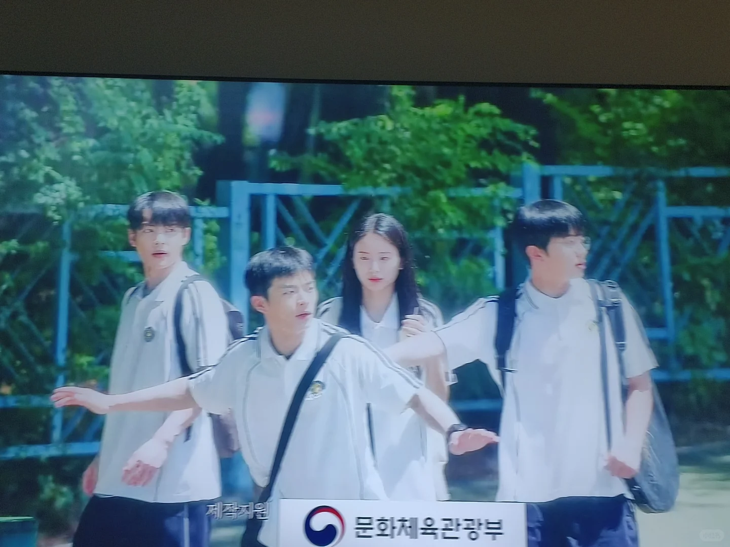 《我们美丽的夏天》